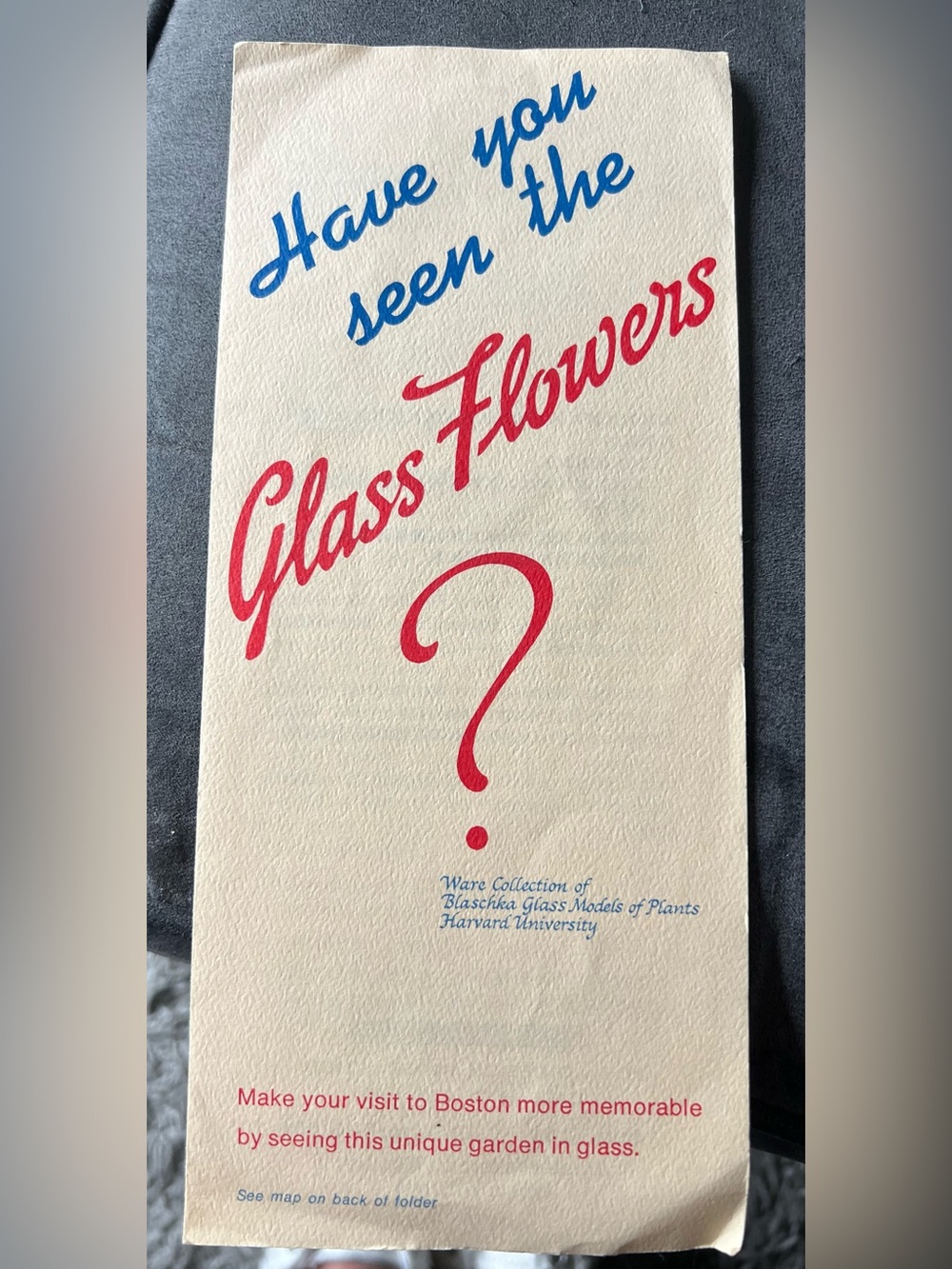 Glass Flowers Brochure from Harvard U. Cir. 1930-1940 with Red & Blue Typography